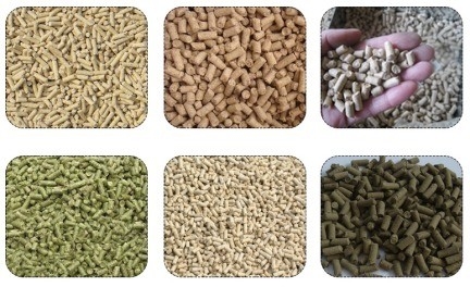 Máquina de fabricação de pellets de arroz de grãos de 1 tonelada por hora